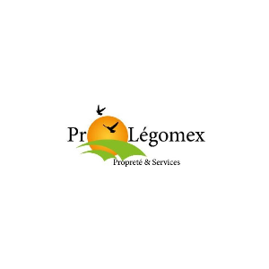 La société Pro Légomex à Roubaix recrute un(e) laveur(se) de vitres polyvalent(e) en CDI