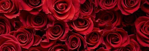 Gagnez votre bouquet de 30 roses rouges avec Mona FM