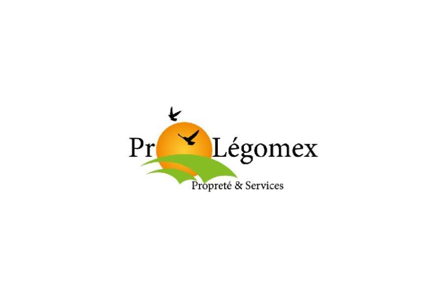 La société Pro Légomex à Roubaix recrute un(e) laveur(se) de vitres polyvalent(e) en CDI